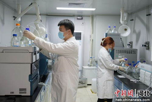 廊坊市積極引進京津創新資源，賦能生物醫藥研發產業高質量發展